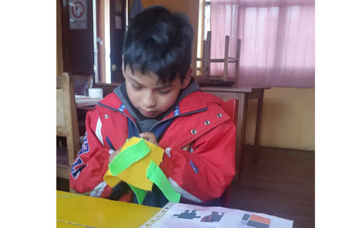 Sewing a softie to give to someone in the community