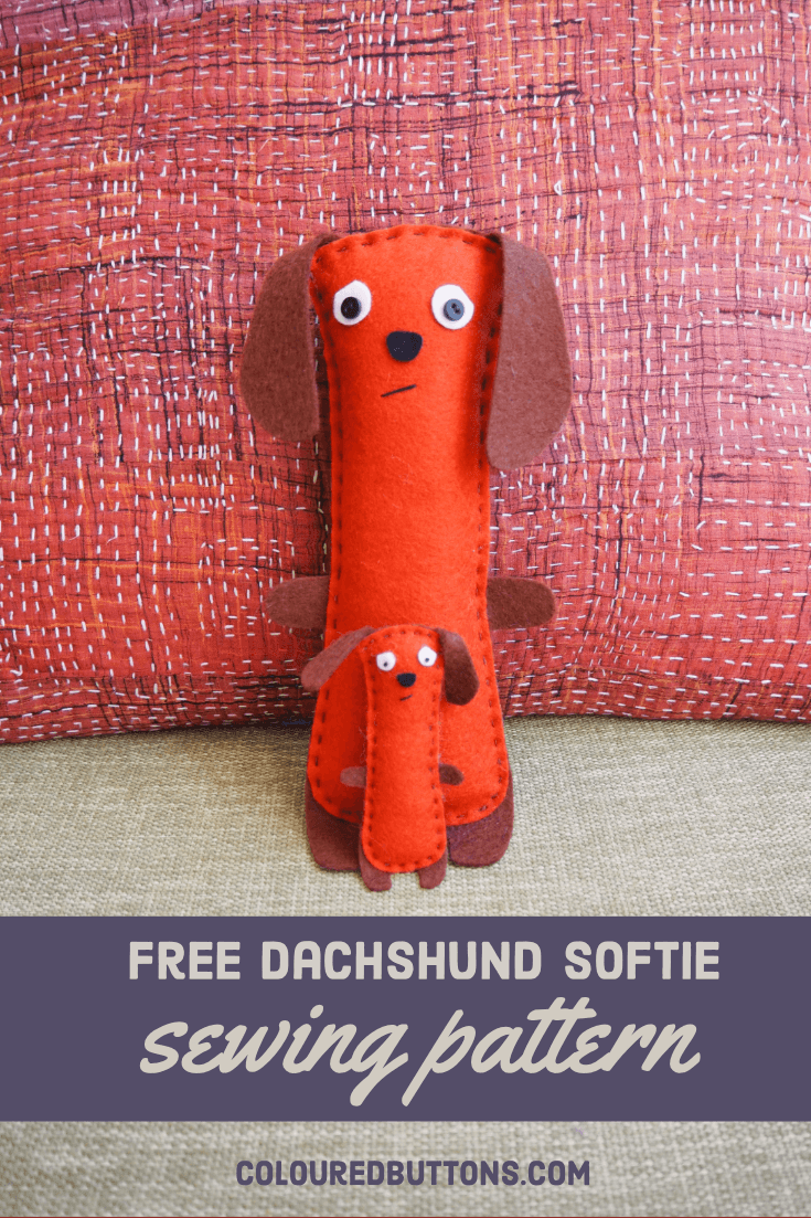dachshund dog softie